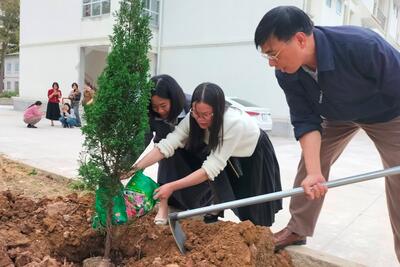 Cán bộ viên chức tham gia Tết Trồng cây tại năm 2024